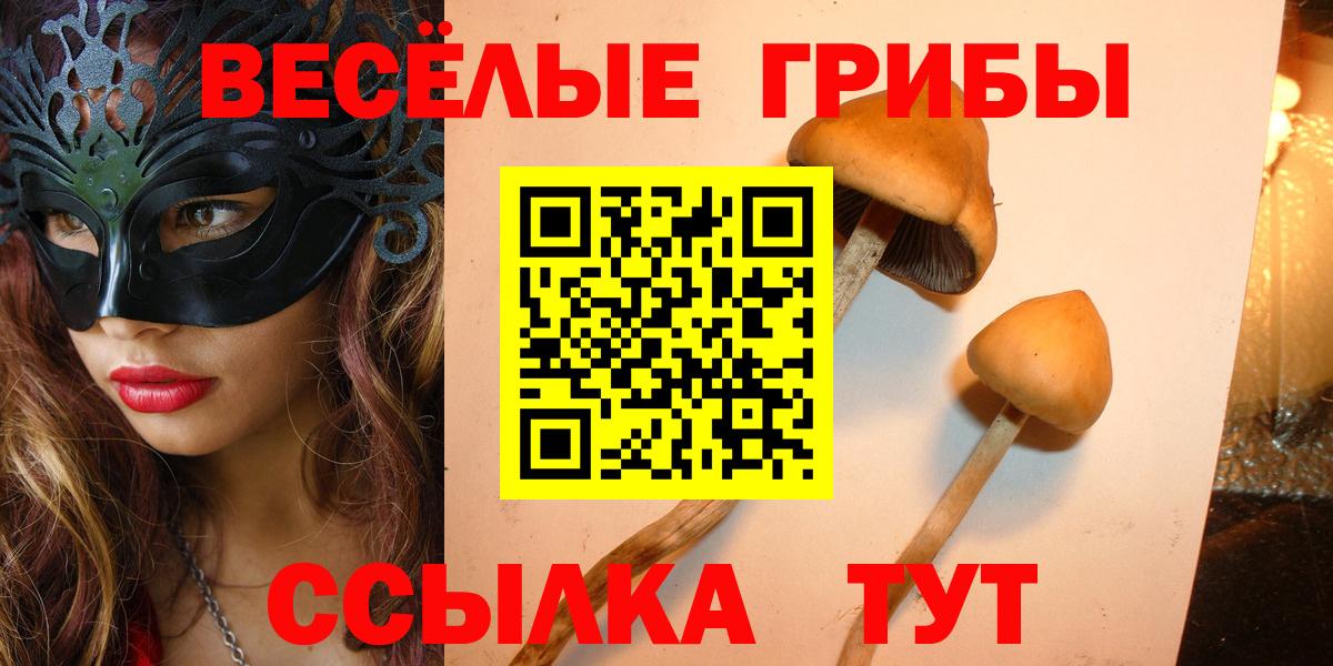 Псилоцибиновые грибы Psilocybe  Псилоцибиновые грибы MAGIC MUSHROOMS  Вход с VPN  Бузулук 