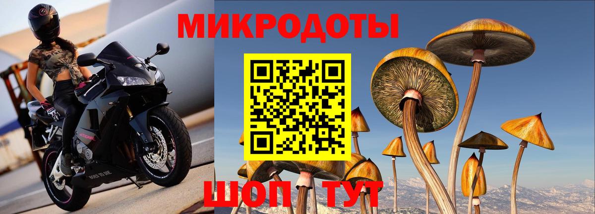 Галлюциногенные грибы MAGIC MUSHROOMS Бузулук
